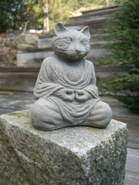 cat budha